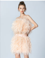 Load image into Gallery viewer, Ostrich Feather Mini Skirt and cropped Top Set
