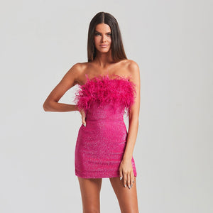 Feather Sequined Mini Party Dress