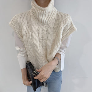 Turtleneck Sleeveless Knit Sweater