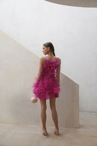 Mini - Feather - Sleeveless-  A-line Party Gown
