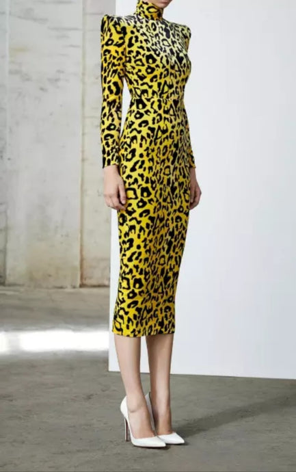 Velvet Leopard Print Long  Dress